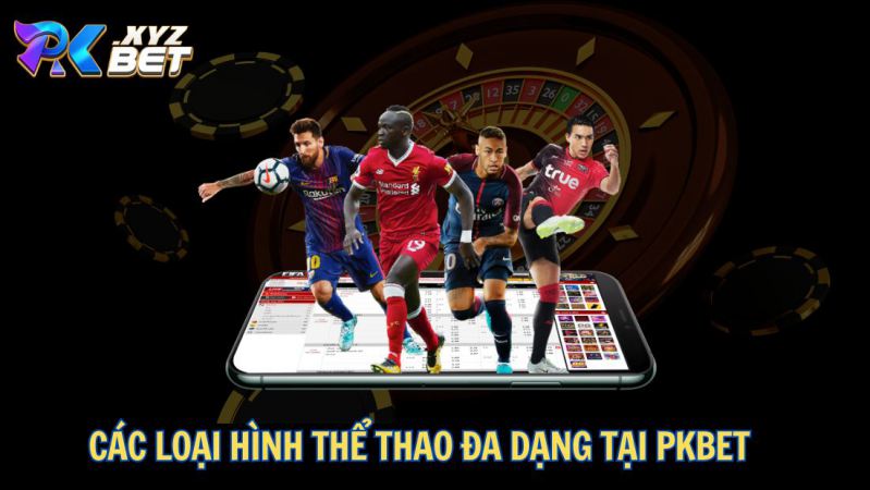 Thể Thao PKBET – Sân Chơi Cá Cược An Toàn, Uy Tín Và Chất Lượng 2 Các loại hình thể thao đa dạng tại PKBET