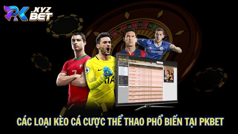 Thể Thao PKBET – Sân Chơi Cá Cược An Toàn, Uy Tín Và Chất Lượng 3 Các loại kèo cá cược thể thao phổ biến tại PKBET