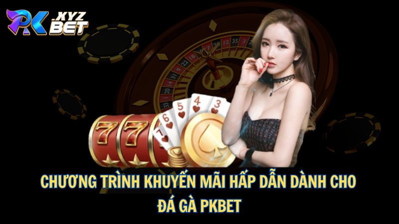 Đá Gà PKBET – Sân Chơi Đỉnh Cao Dành Cho Kê Thủ 3 Chương trình khuyến mãi hấp dẫn dành cho đá gà PKBET
