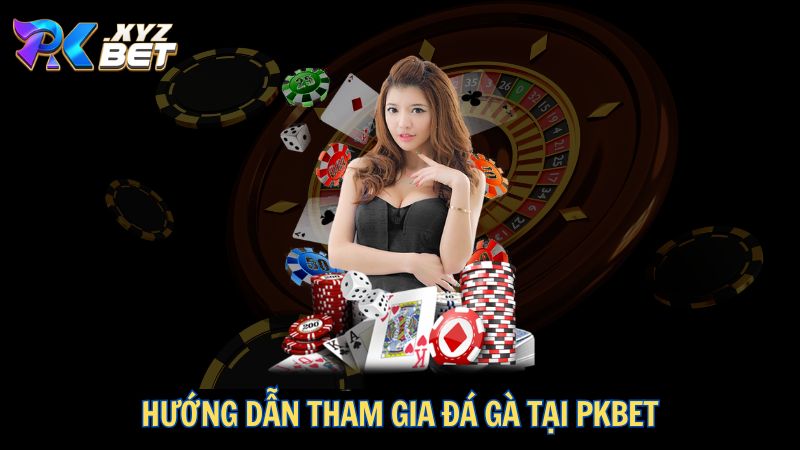 Đá Gà PKBET – Sân Chơi Đỉnh Cao Dành Cho Kê Thủ 5 Hướng dẫn tham gia đá gà tại PKBET