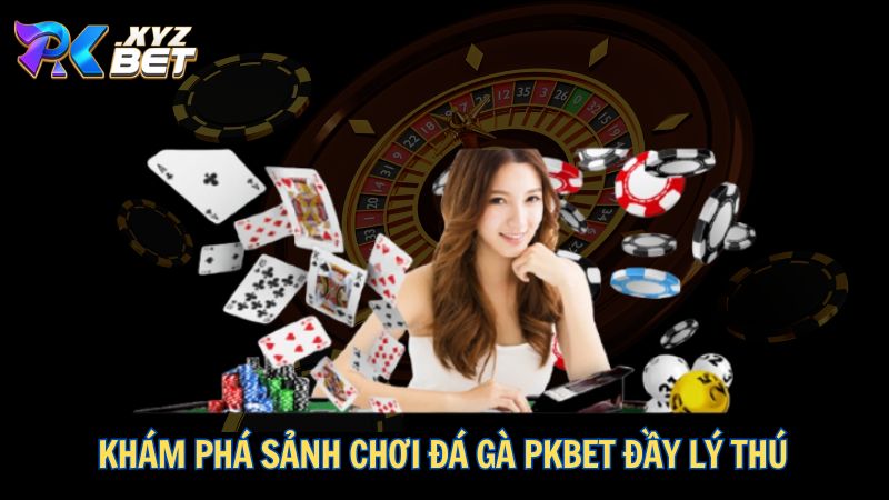 Đá Gà PKBET – Sân Chơi Đỉnh Cao Dành Cho Kê Thủ 1 Khám phá sảnh chơi Đá Gà PKBET đầy lý thú