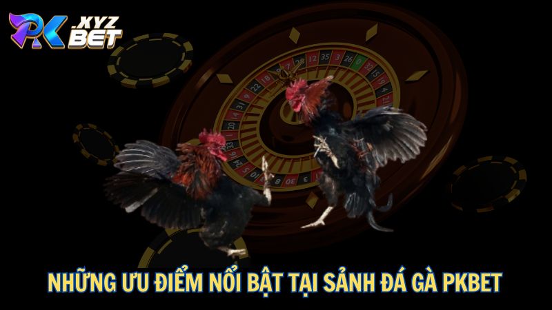 Đá Gà PKBET – Sân Chơi Đỉnh Cao Dành Cho Kê Thủ 2 Những ưu điểm nổi bật tại sảnh đá gà PKBET