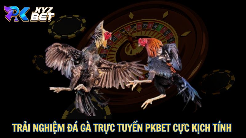 Trải nghiệm đá gà trực tuyến PKBET cực kịch tính
