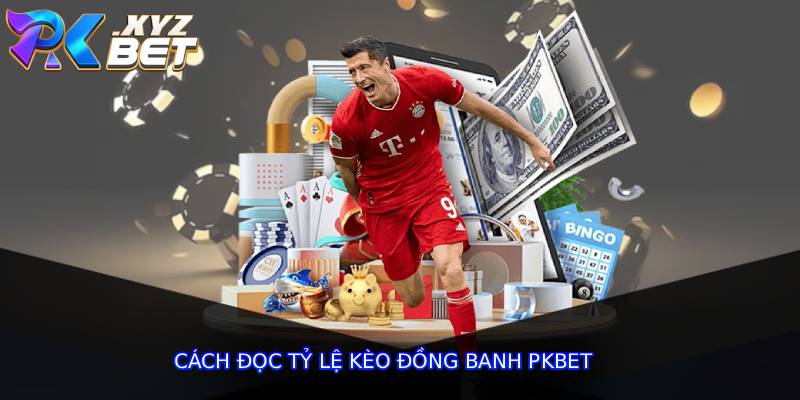 Cách đọc tỷ lệ kèo đồng banh pkbet
