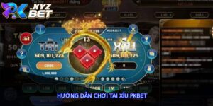 Hướng Dẫn Chơi Tài Xỉu Pkbet