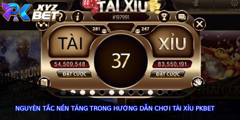 Nguyên Tắc Nền Tảng Trong Hướng Dẫn Chơi Tài Xỉu Pkbet